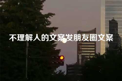 不理解人的文案发朋友圈文案-第1张图片-温柔治愈励志文案网