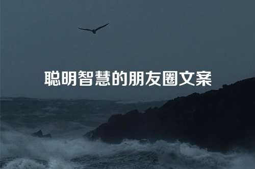 聪明智慧的朋友圈文案-第1张图片-温柔治愈励志文案网