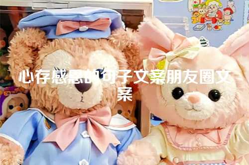 心存感恩的句子文案朋友圈文案-第1张图片-温柔治愈励志文案网