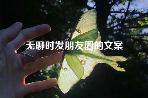 无聊时发朋友圈的文案-第1张图片-温柔治愈励志文案网