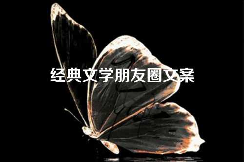经典文学朋友圈文案-第1张图片-温柔治愈励志文案网