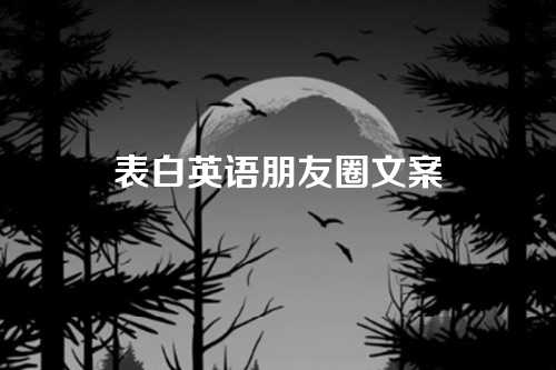 表白英语朋友圈文案-第1张图片-温柔治愈励志文案网
