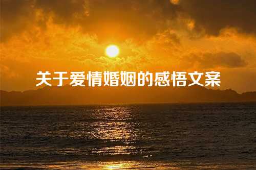 关于爱情婚姻的感悟文案-第1张图片-温柔治愈励志文案网