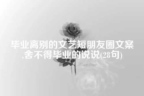毕业离别的文艺短朋友圈文案,舍不得毕业的说说(28句)-第1张图片-温柔治愈励志文案网
