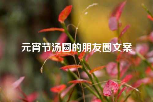 元宵节汤圆的朋友圈文案