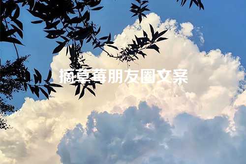 摘草莓朋友圈文案-第1张图片-温柔治愈励志文案网