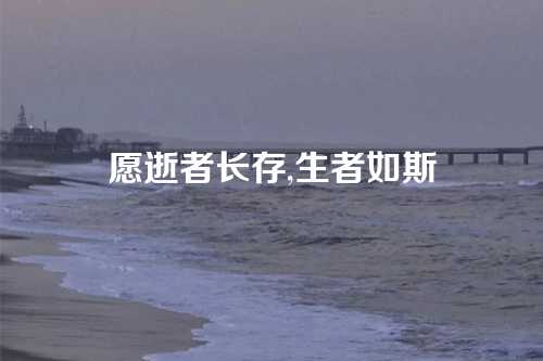 愿逝者长存,生者如斯