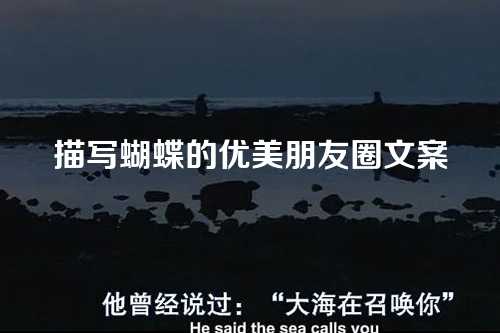 描写蝴蝶的优美朋友圈文案-第1张图片-温柔治愈励志文案网