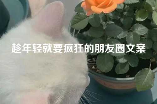 趁年轻就要疯狂的朋友圈文案