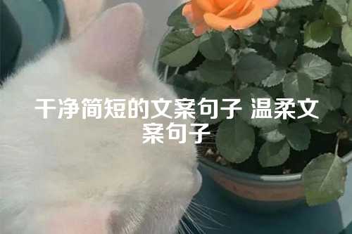 干净简短的文案句子 温柔文案句子