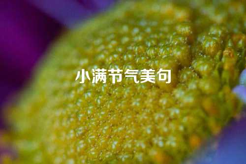 小满节气美句-第1张图片-温柔治愈励志文案网