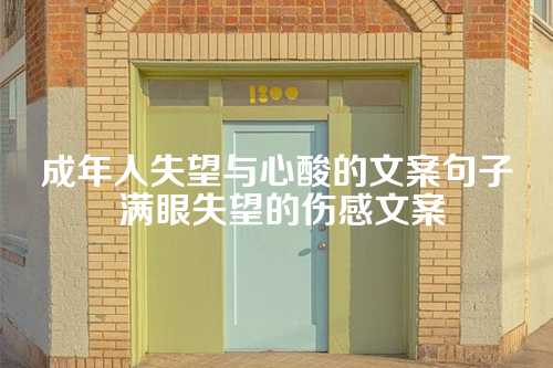 成年人失望与心酸的文案句子 满眼失望的伤感文案
