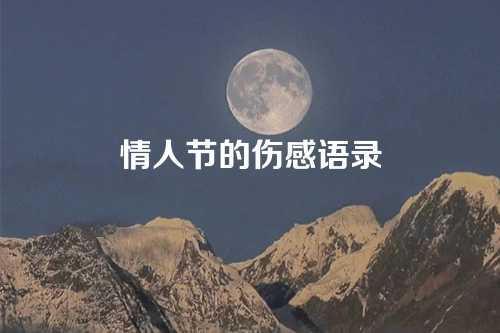 情人节的伤感语录