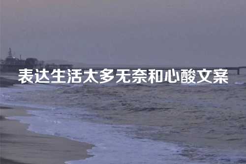 表达生活太多无奈和心酸文案