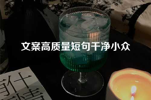 文案高质量短句干净小众