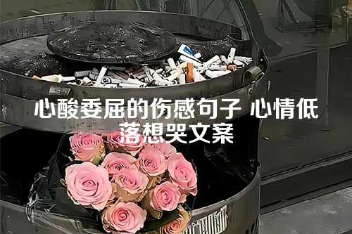 心酸委屈的伤感句子 心情低落想哭文案