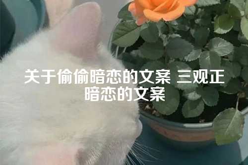 关于偷偷暗恋的文案 三观正暗恋的文案