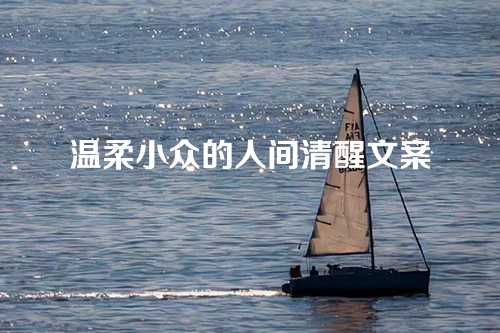 温柔小众的人间清醒文案