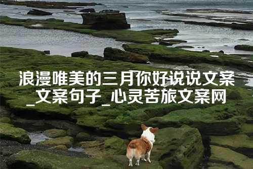 浪漫唯美的三月你好说说文案_文案句子_心灵苦旅文案网