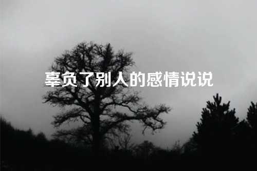 辜负了别人的感情说说