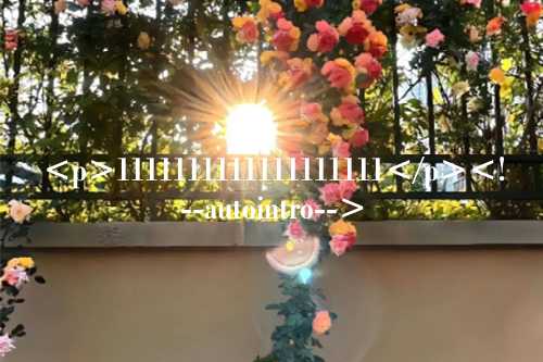 1111
